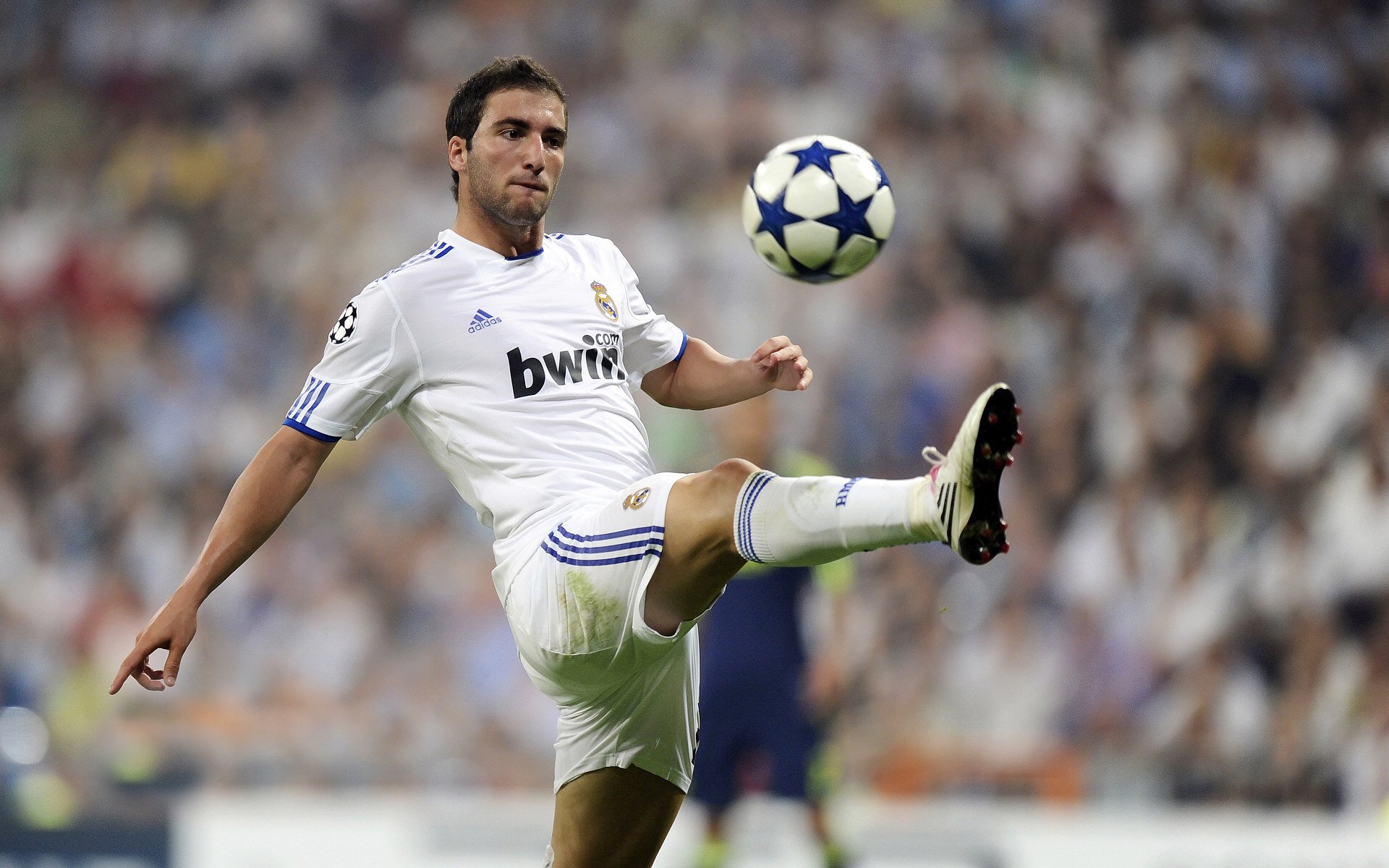 NBA球员成立环保联盟，致力于推动绿色球馆建设，绿色的nba球队